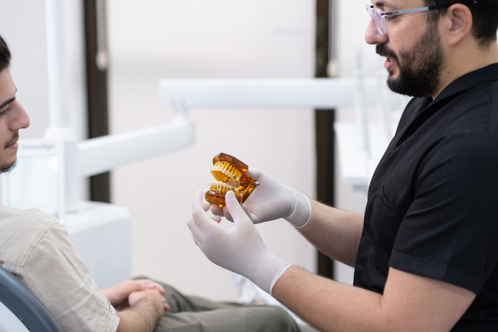 Orthodontist showing a patient the jaw structure.